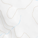 42116NE Page 99 Triangle Topo Preview 2