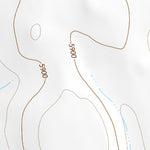 42116NE Page 101 Triangle Topo Preview 2