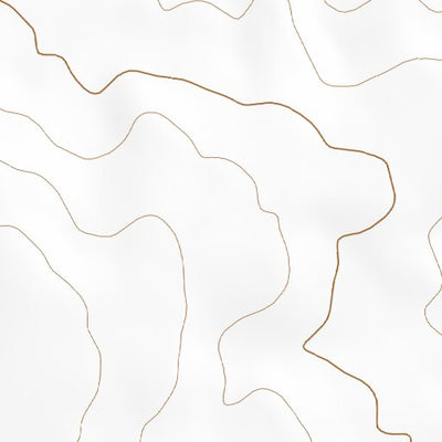 42116SE Page 89 Riddle Topo Preview 2