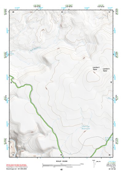 42116SW Page 42 Riddle Topo Preview 1