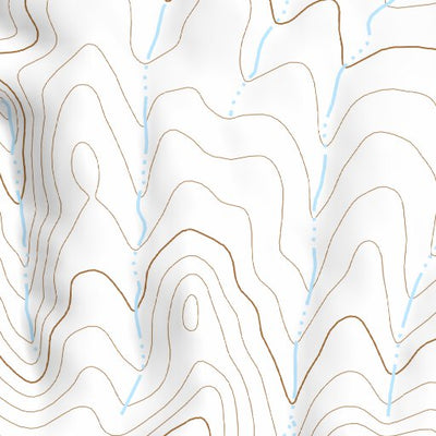 42117SW Page 4 Louse Canyon Topo Preview 2