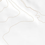 42117SW Page 51 Louse Canyon Topo Preview 2