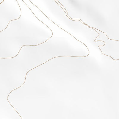 42117SW Page 51 Louse Canyon Topo Preview 2