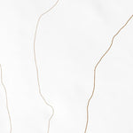 42117SW Page 64 Louse Canyon Topo Preview 2