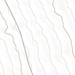 42117SW Page 64 Louse Canyon Topo Preview 3