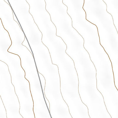 42117SW Page 64 Louse Canyon Topo Preview 3