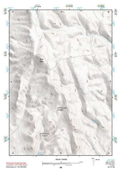 42117SW Page 80 Louse Canyon Topo Preview 1
