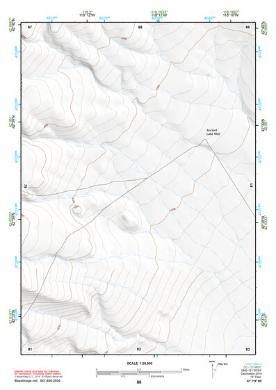 42118NE Page 80 Steens Mountain Topo Preview 1