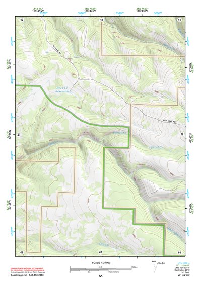 42118NW Page 55 Steens Mountain Topo Preview 1