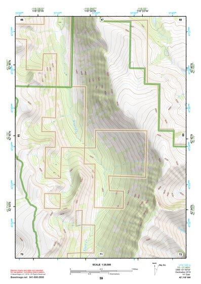 42118NW Page 59 Steens Mountain Topo Preview 1