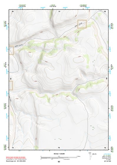 42118NW Page 63 Steens Mountain Topo Preview 1