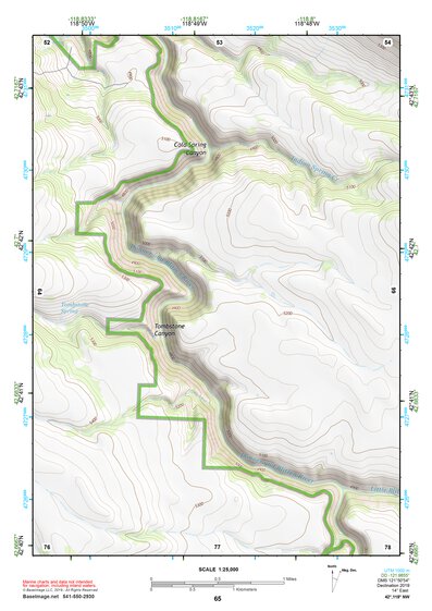 42118NW Page 65 Steens Mountain Topo Preview 1