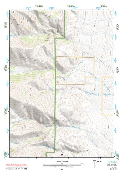42118NW Page 72 Steens Mountain Topo Preview 1