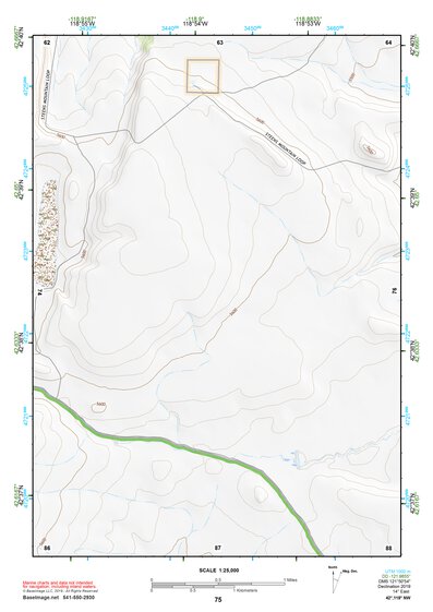 42118NW Page 75 Steens Mountain Topo Preview 1