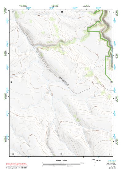 42118NW Page 77 Steens Mountain Topo Preview 1