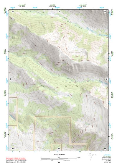 42118NW Page 81 Steens Mountain Topo Preview 1