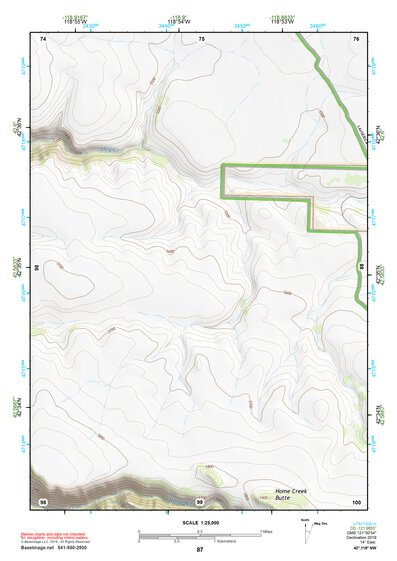 42118NW Page 87 Steens Mountain Topo Preview 1