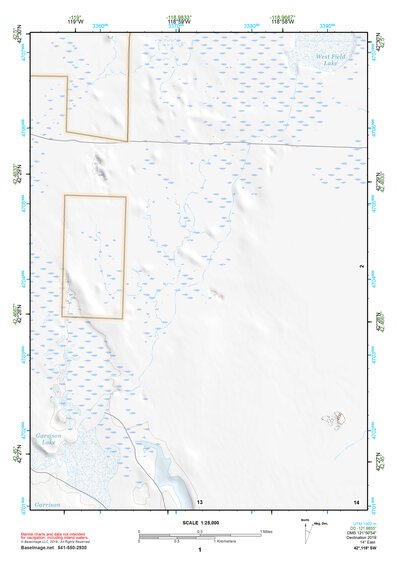 42118SW Page 1 Alvord Lake Topo Preview 1