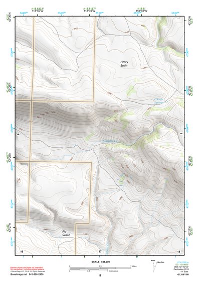 42118SW Page 5 Alvord Lake Topo Preview 1