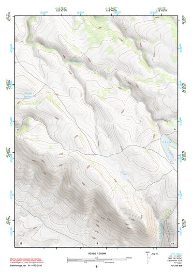 42118SW Page 6 Alvord Lake Topo Preview 1