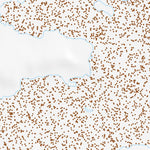 42118SW Page 26 Alvord Lake Topo Preview 3