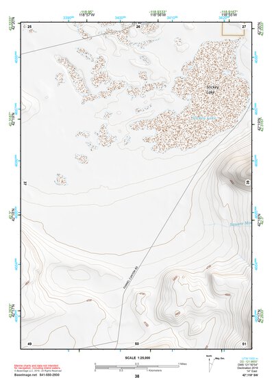 42118SW Page 38 Alvord Lake Topo Preview 1