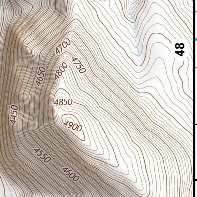 42118SW Page 47 Alvord Lake Topo Preview 3