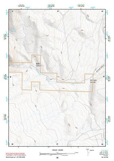 42118SW Page 55 Alvord Lake Topo Preview 1