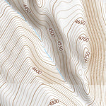 42118SW Page 60 Alvord Lake Topo Preview 3