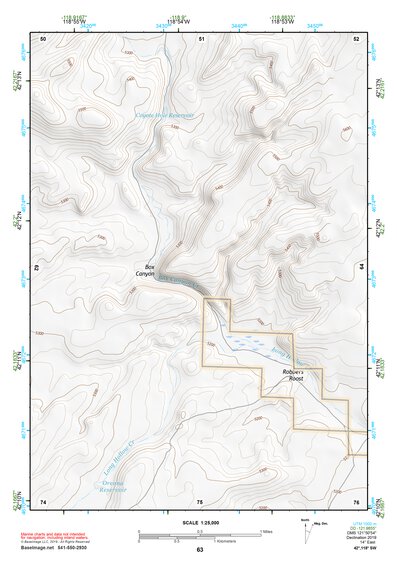 42118SW Page 63 Alvord Lake Topo Preview 1