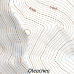 42118SW Page 67 Alvord Lake Topo Preview 3