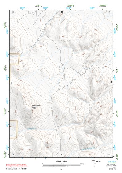42118SW Page 68 Alvord Lake Topo Preview 1