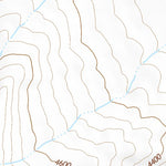 42118SW Page 69 Alvord Lake Topo Preview 2