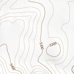 42118SW Page 75 Alvord Lake Topo Preview 2