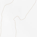 42118SW Page 76 Alvord Lake Topo Preview 2