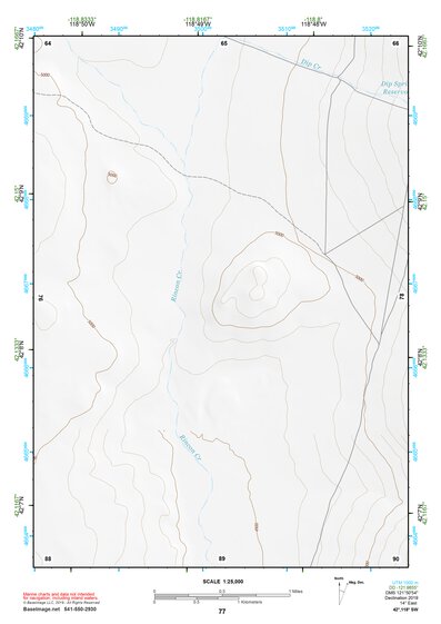 42118SW Page 77 Alvord Lake Topo Preview 1