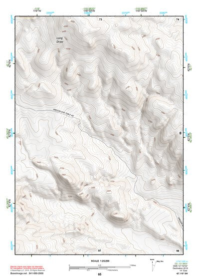 42118SW Page 85 Alvord Lake Topo Preview 1