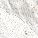 42118SW Page 85 Alvord Lake Topo Preview 2