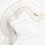 42118SW Page 88 Alvord Lake Topo Preview 3