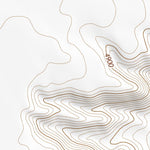 42118SW Page 89 Alvord Lake Topo Preview 2