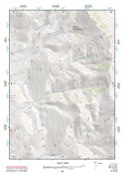 42118SW Page 91 Alvord Lake Topo Preview 1