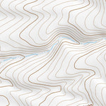 42118SW Page 102 Alvord Lake Topo Preview 3