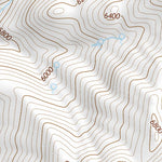 42118SW Page 103 Alvord Lake Topo Preview 3