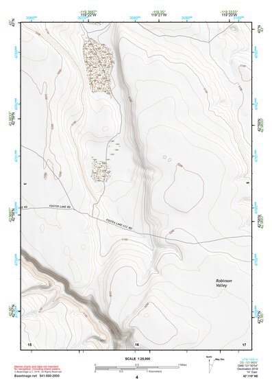 42119NE Page 4 Bluejoint Lake Topo Preview 1