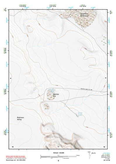 42119NE Page 5 Bluejoint Lake Topo Preview 1
