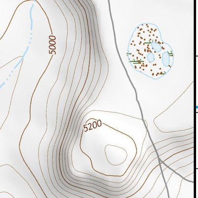 42119NE Page 10 Bluejoint Lake Topo Preview 3