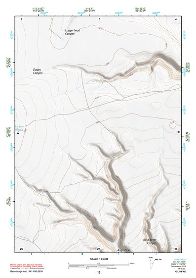 42119NE Page 15 Bluejoint Lake Topo Preview 1