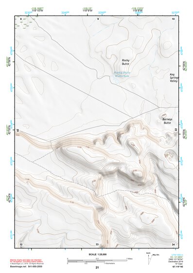 42119NE Page 21 Bluejoint Lake Topo Preview 1