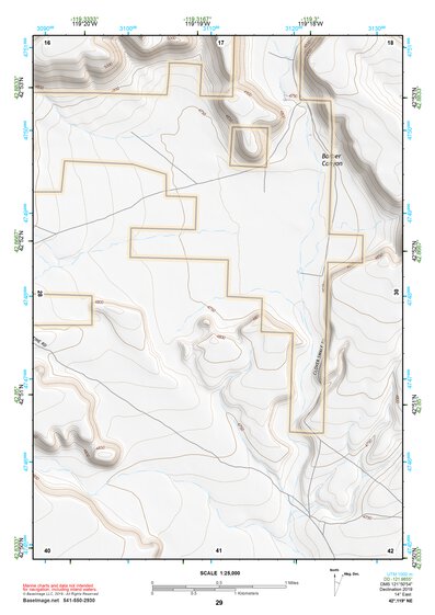42119NE Page 29 Bluejoint Lake Topo Preview 1