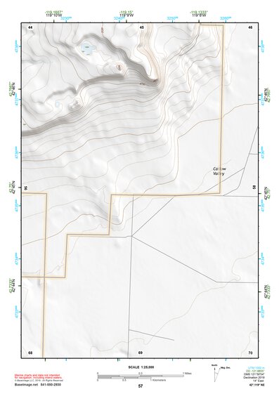 42119NE Page 57 Bluejoint Lake Topo Preview 1